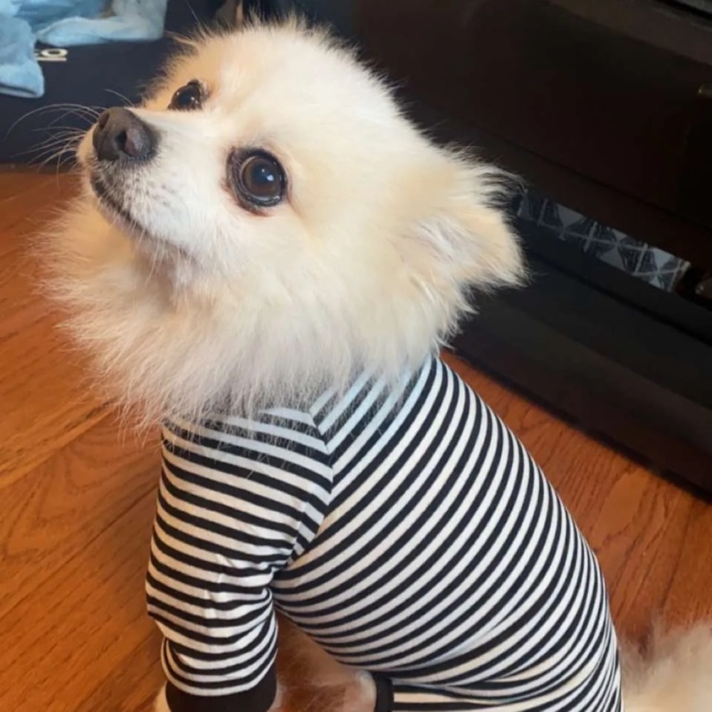 Meet your Posher, Yalitza